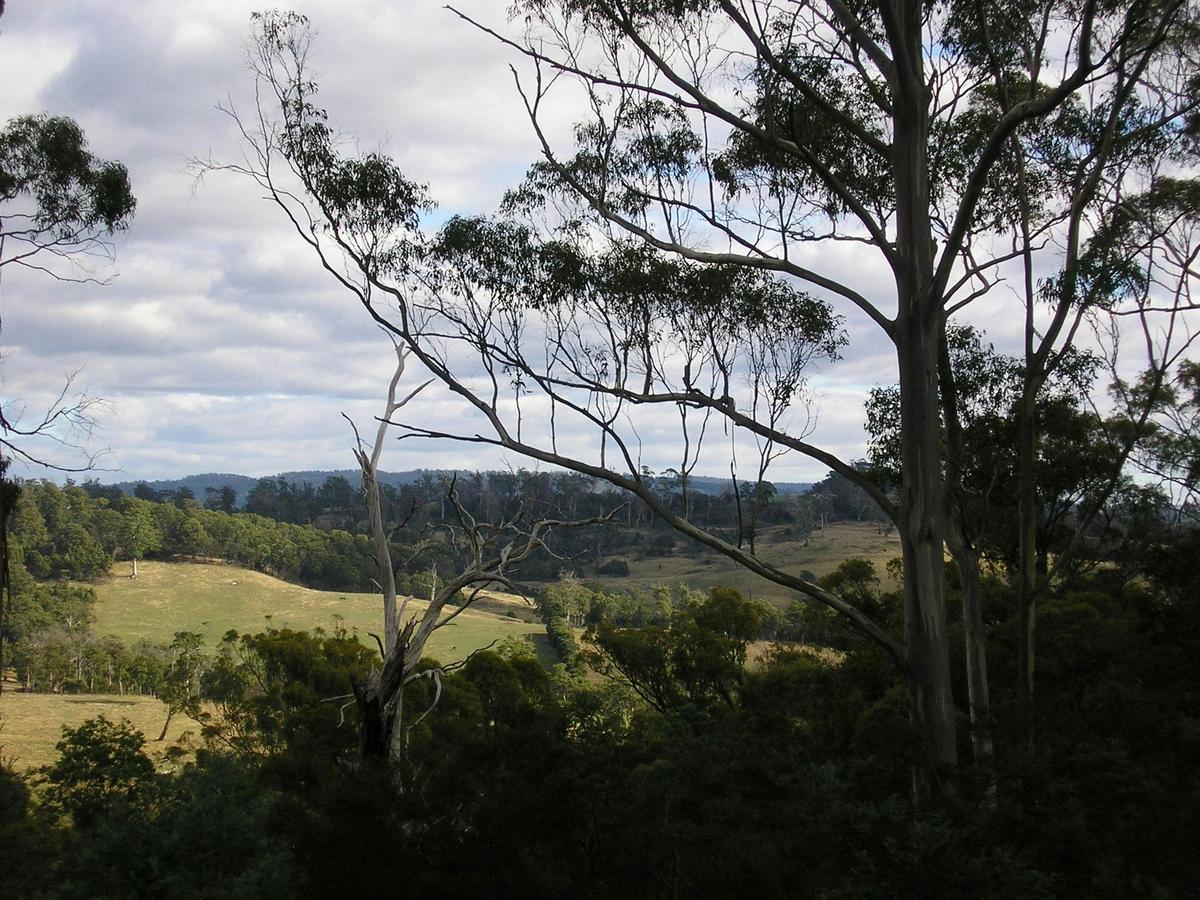 View to South from lookout near barn