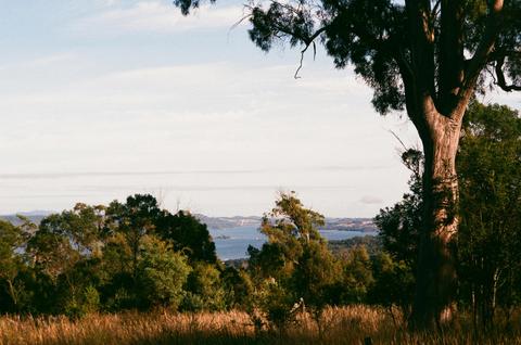 Hilltop Barn at Swan Bay