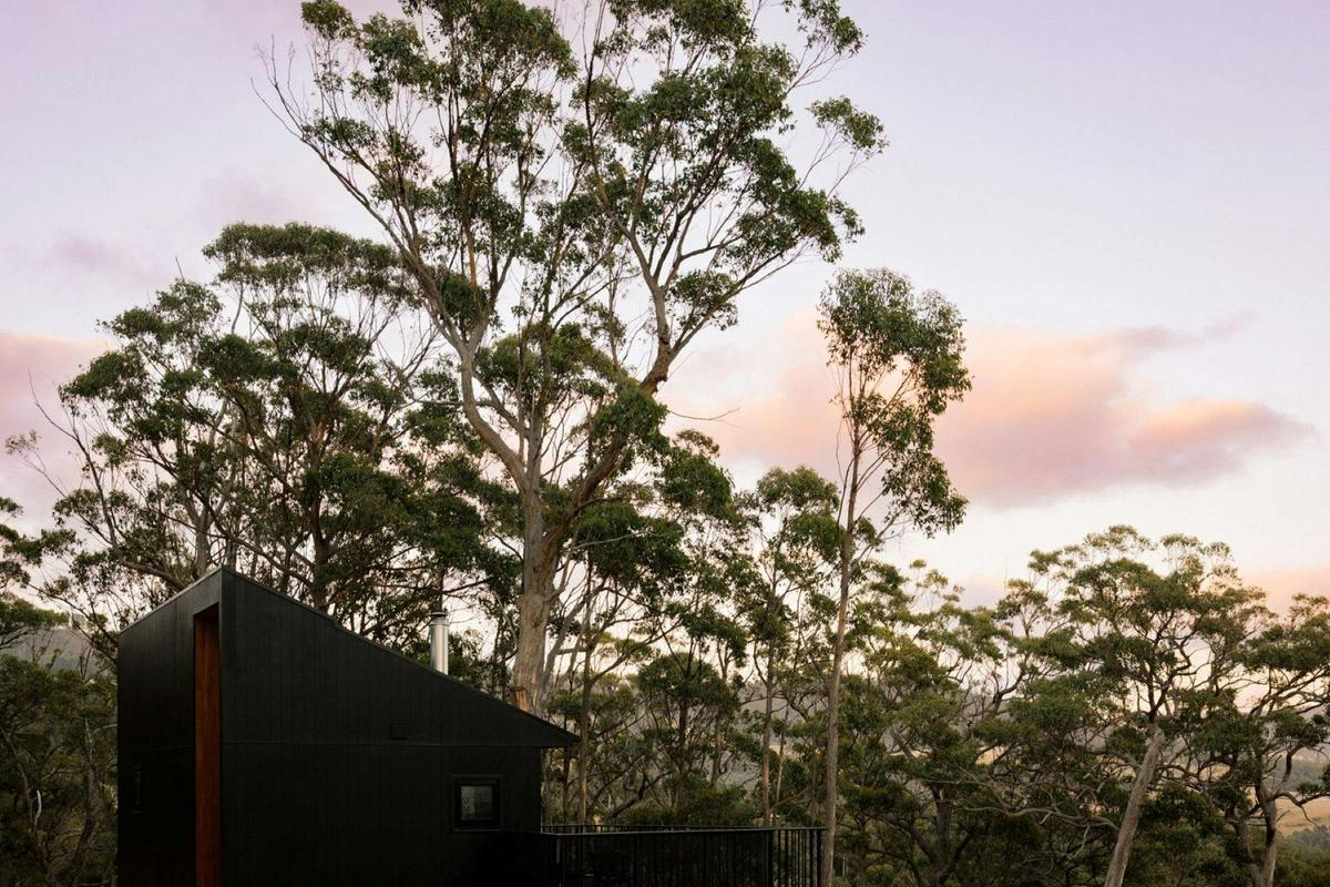Image of Hunter Huon Valley exterior and deck against striking bushland backdrop