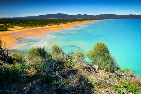 Greens Beach