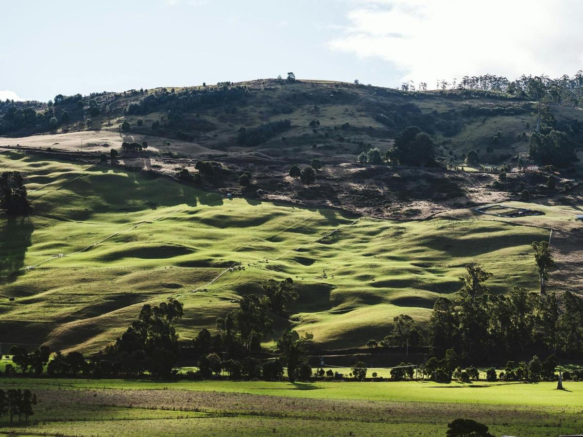 Gunns Plains Farmlands