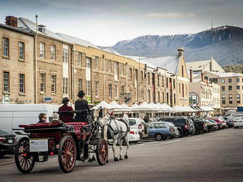 Heritage Horse Drawn Carriages