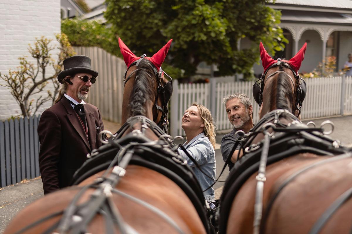 Meet our Beautiful Horses