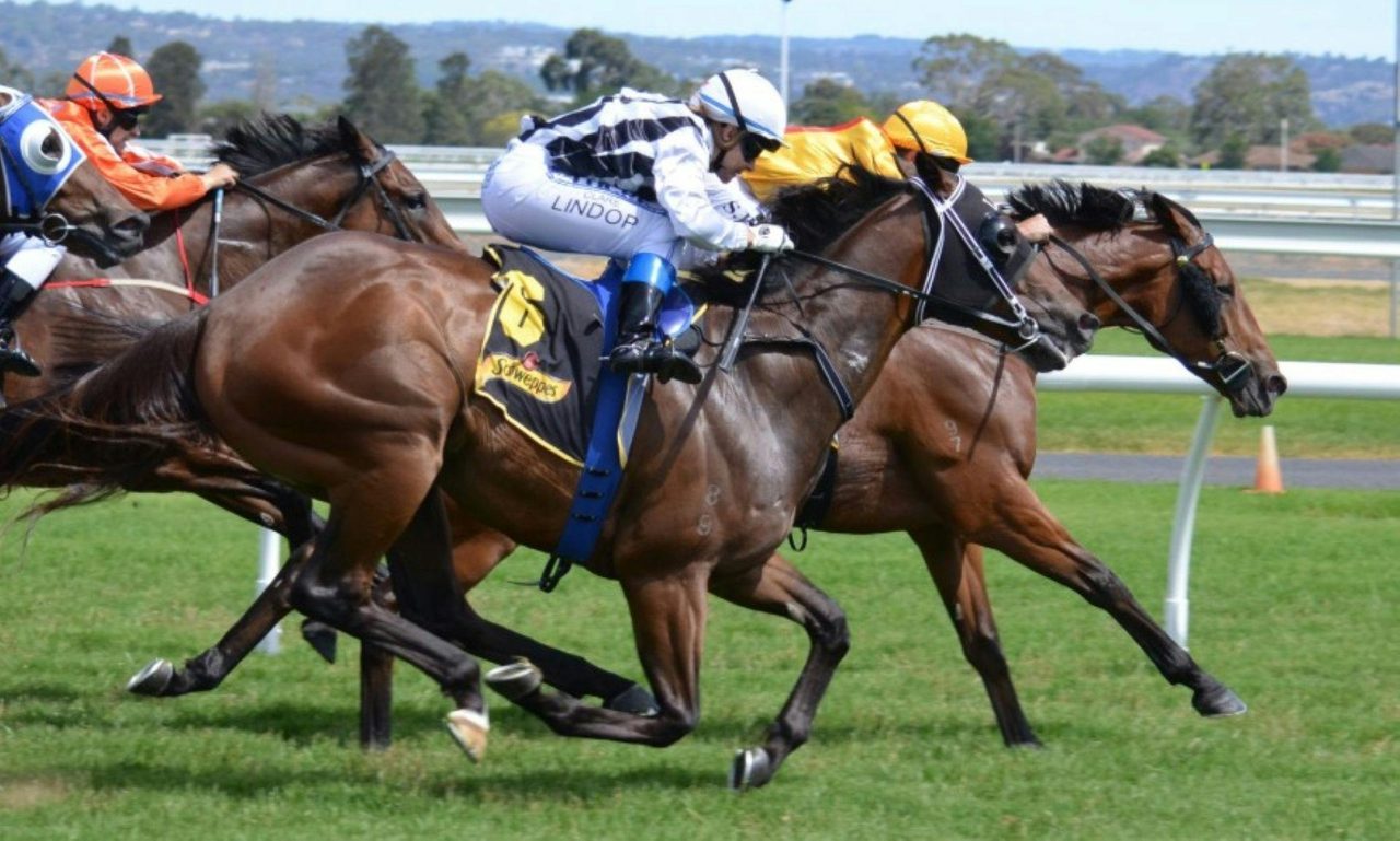 Ballina Jockey Club