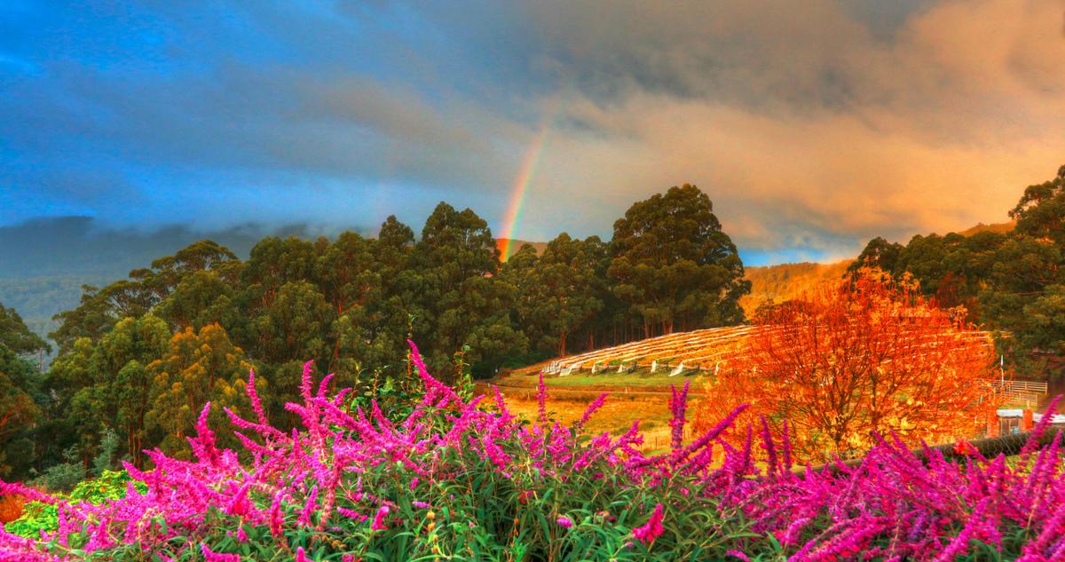 Lovely views from Hartzview Vineyard's cafe