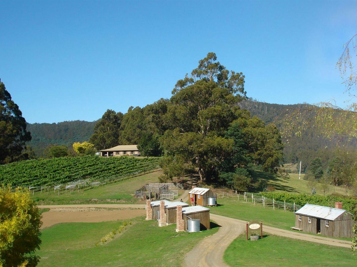 Hartzview Vineyard