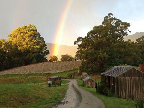 Hartzview Vineyard and Distillery