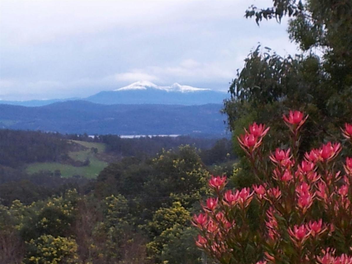 Winter at Hartzview Vineyard