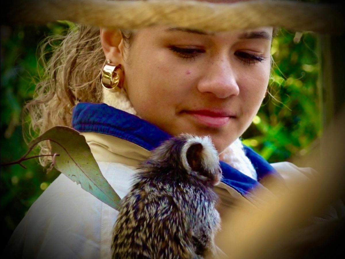 Marmoset Encounter
