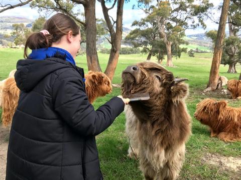 Highland Getaway Tours