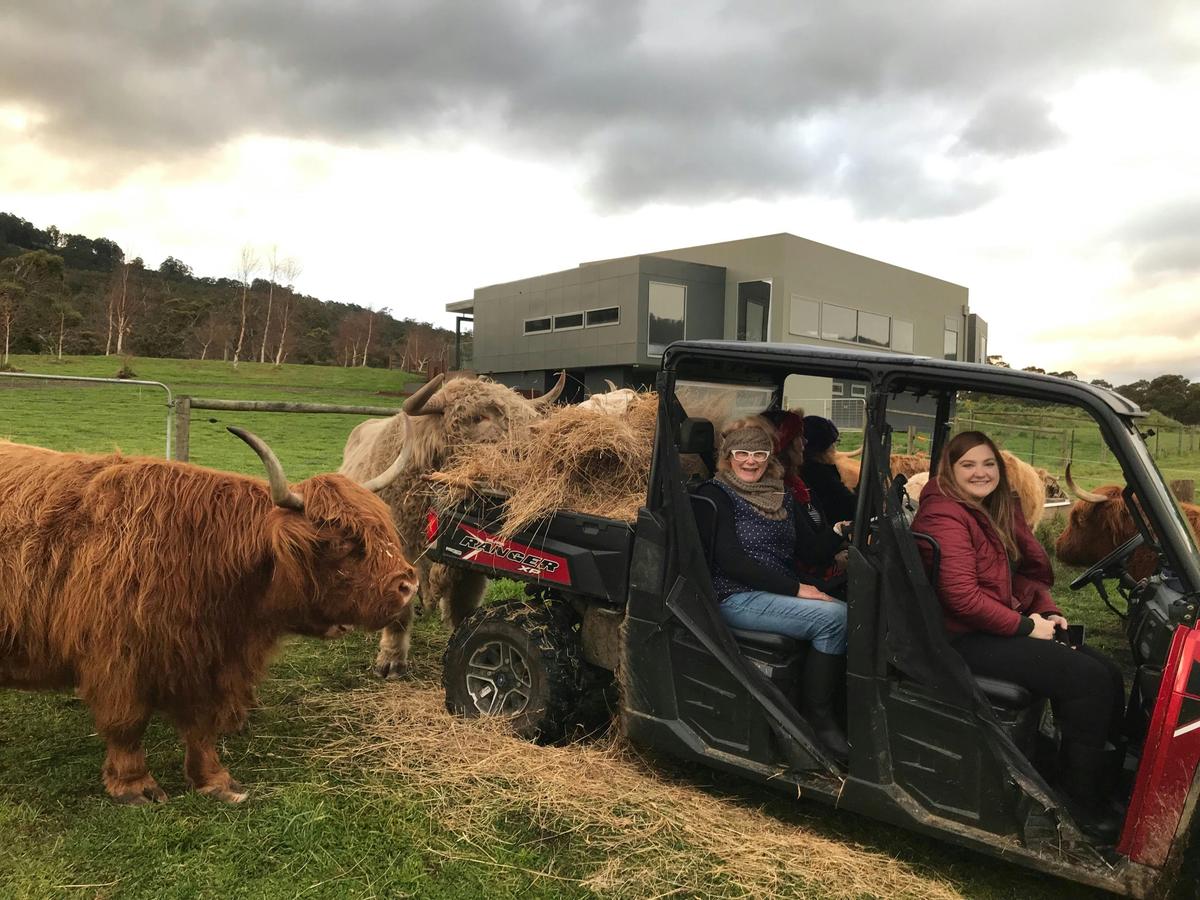 Tour around in an ATV