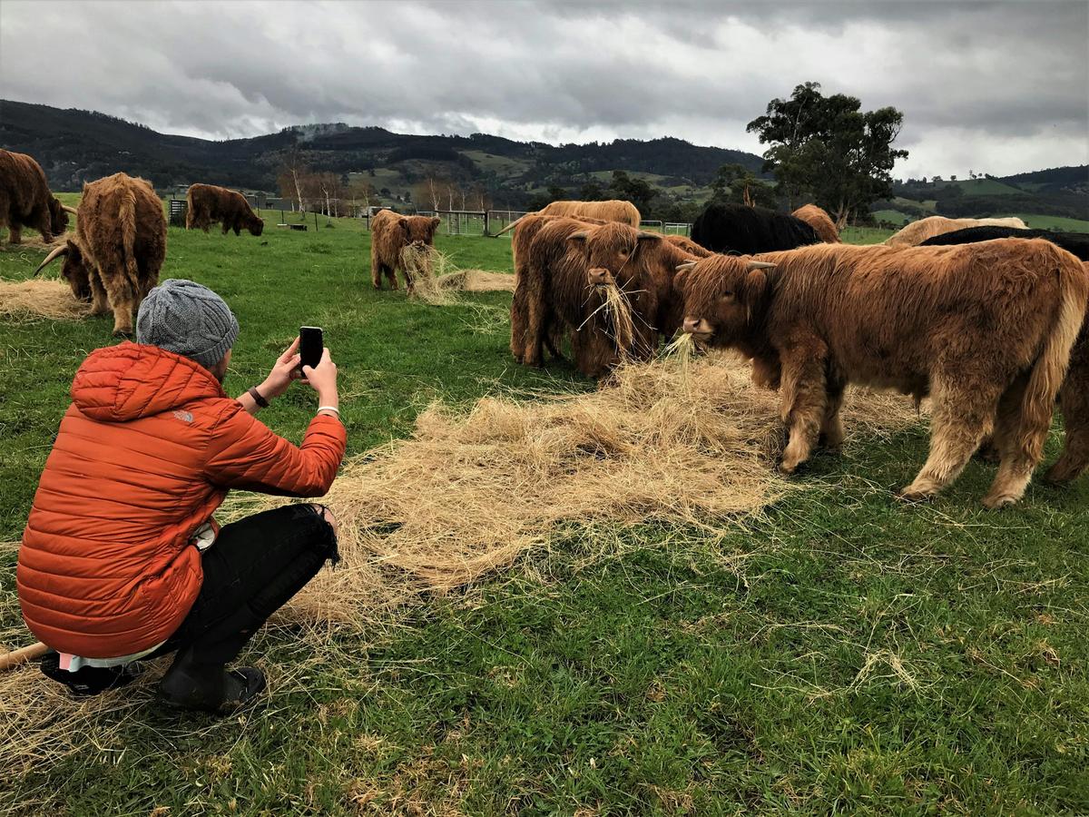 Highland Getaway ATV farm tour
