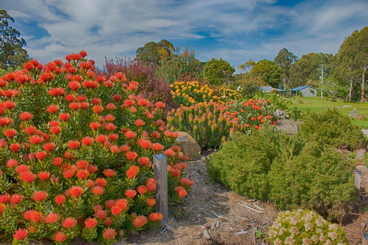Inala Jurassic Garden