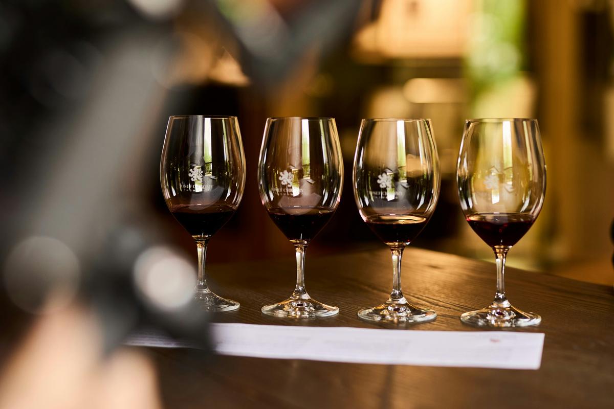 Wine tasting at Josef Chromy Wines, Launceston