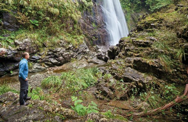 Red Cedar Falls Walking Track