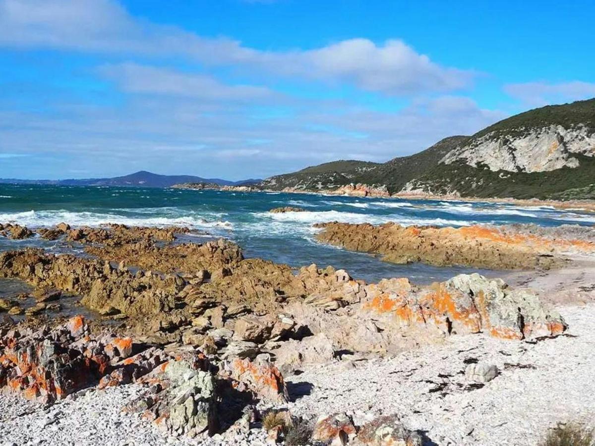 Best of Tasmania's Tarkine & Cradle Mountain
