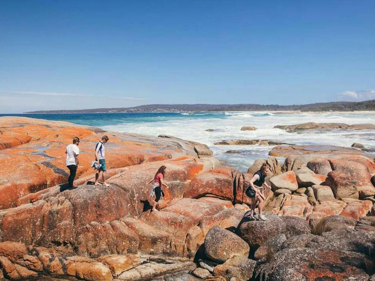 Tasmania Adventure