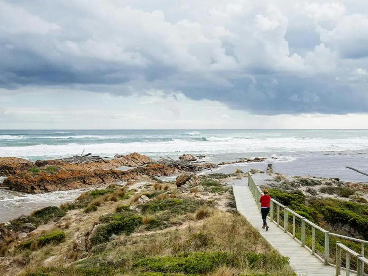 Best of Tasmania's Tarkine & Cradle Mountain
