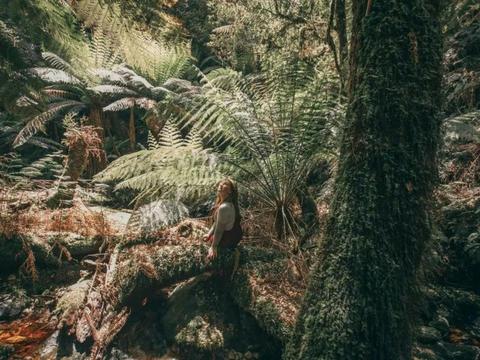 Tasmania Adventure