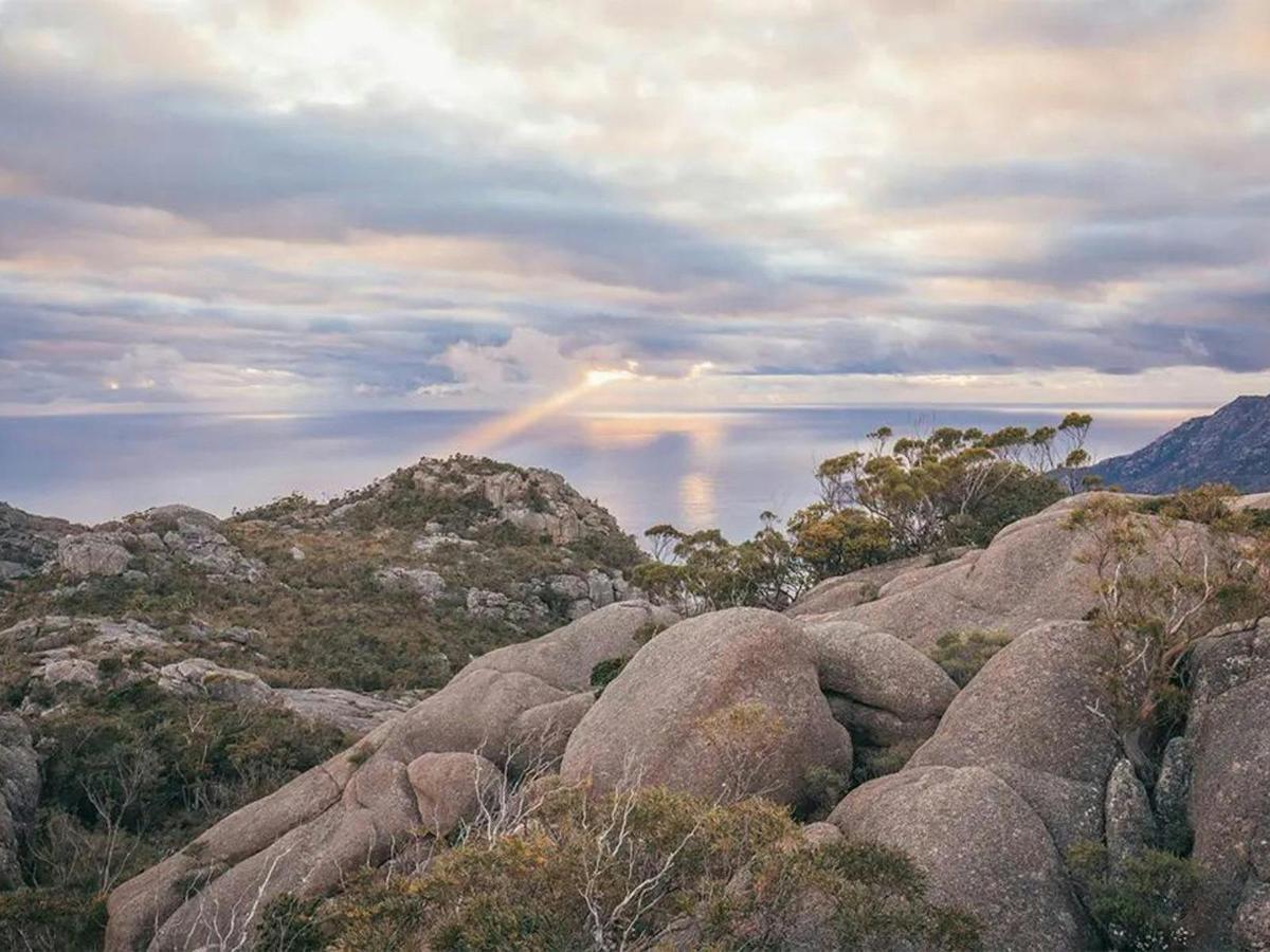 Premium Tasmania