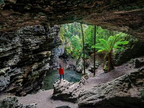 Best of Tasmania's Tarkine & Cradle Mountain