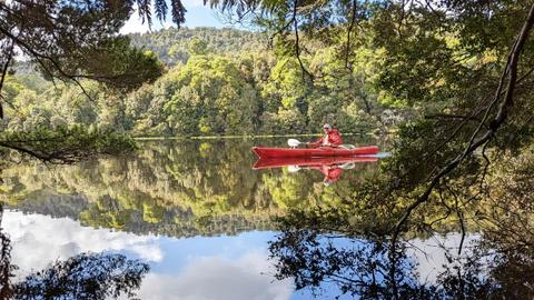 Walk Tasmania's Tarkine & Cradle Mountain