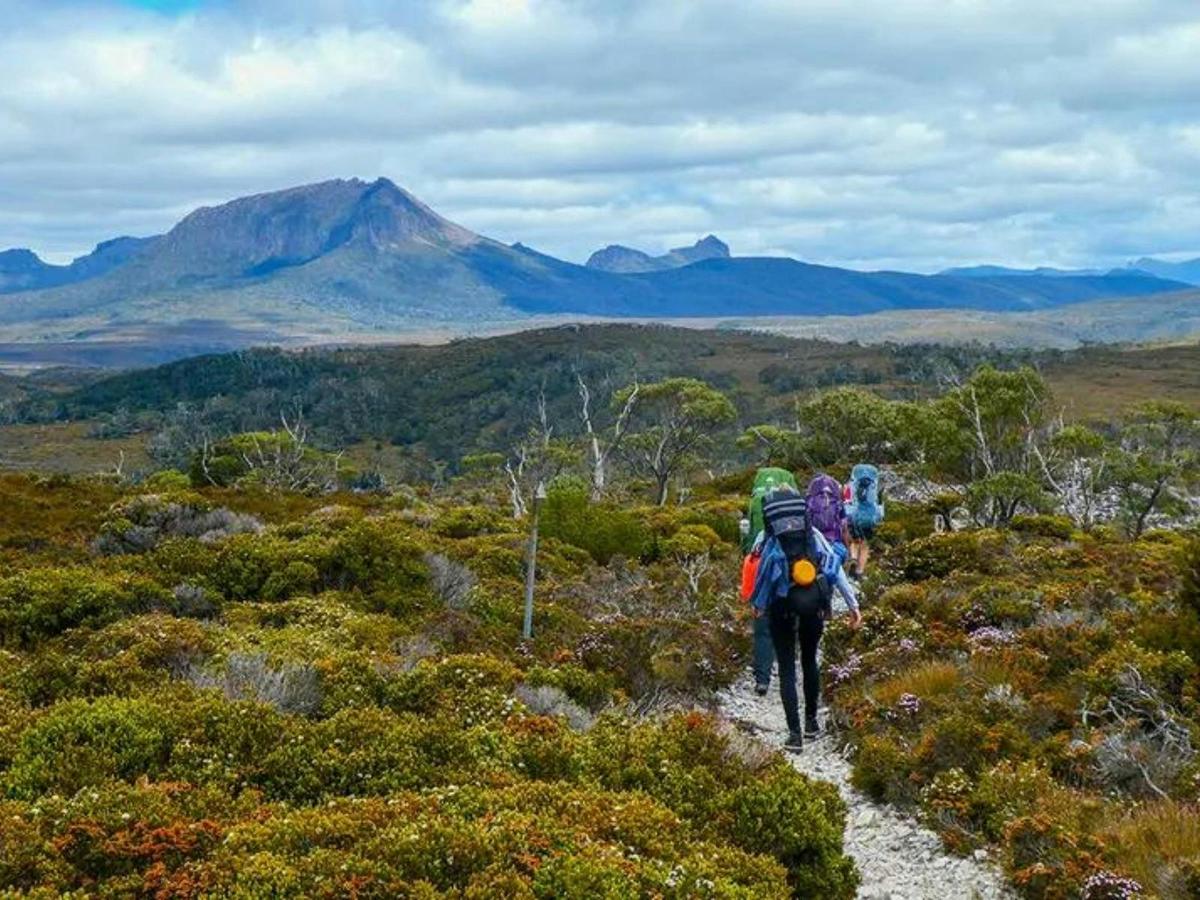 Trek the Cradle Mountain Overland Track