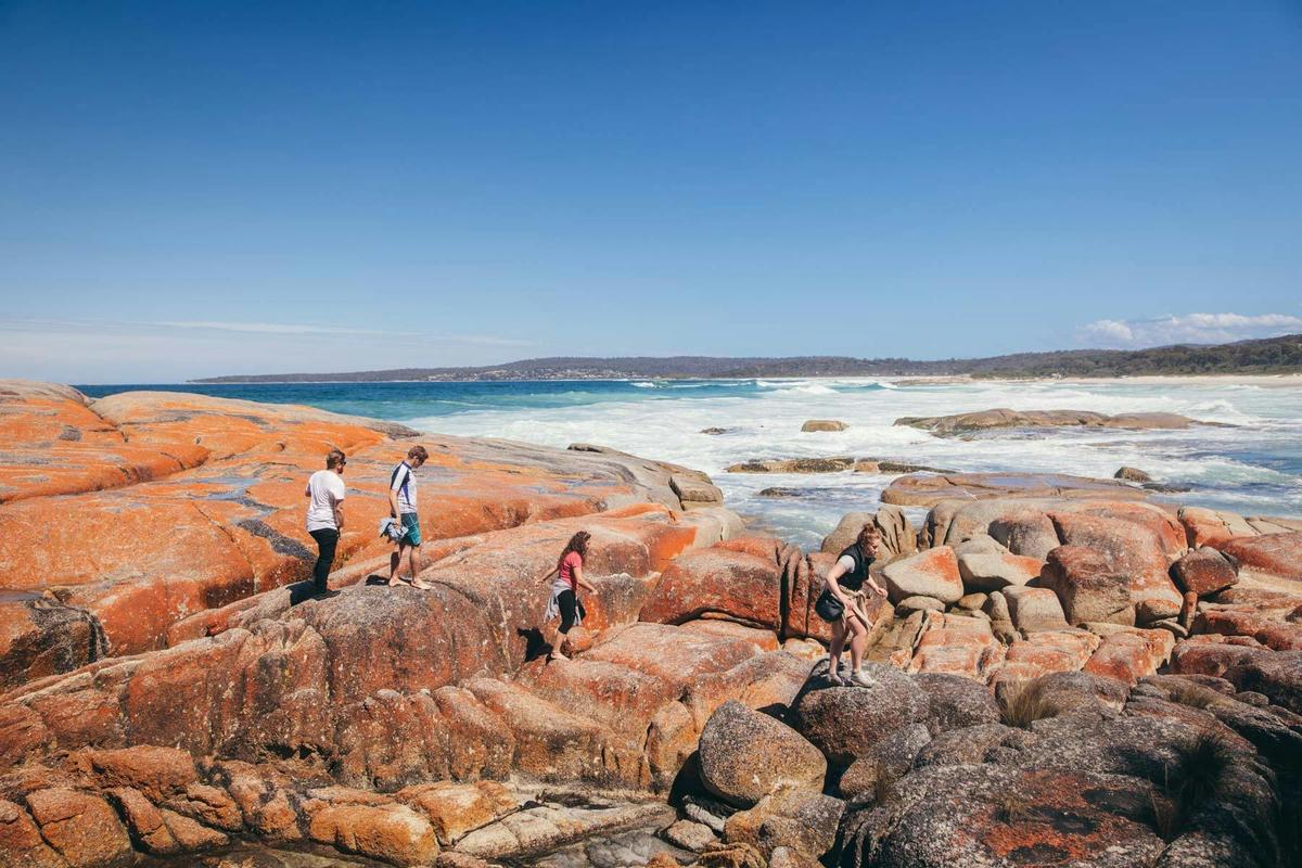 Walk Tasmania's Bay of Fires