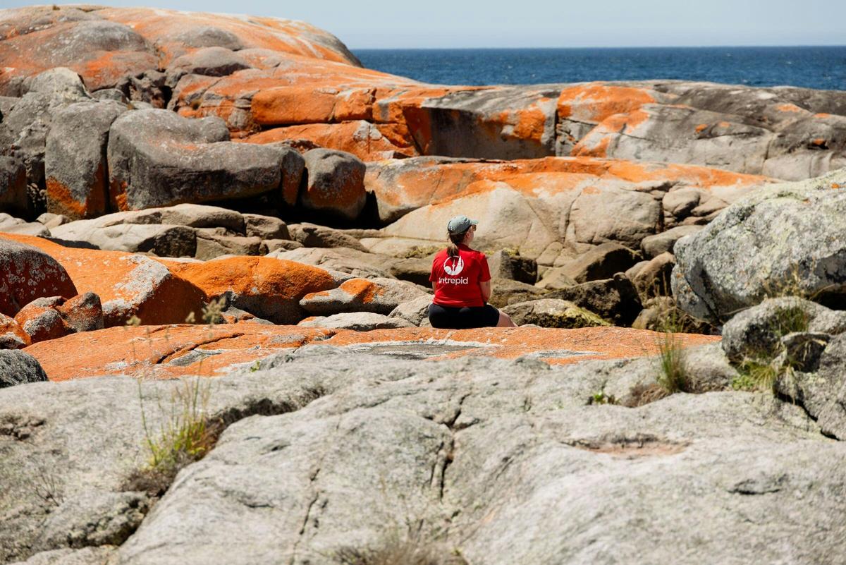 Walk Tasmania's Bay of Fires