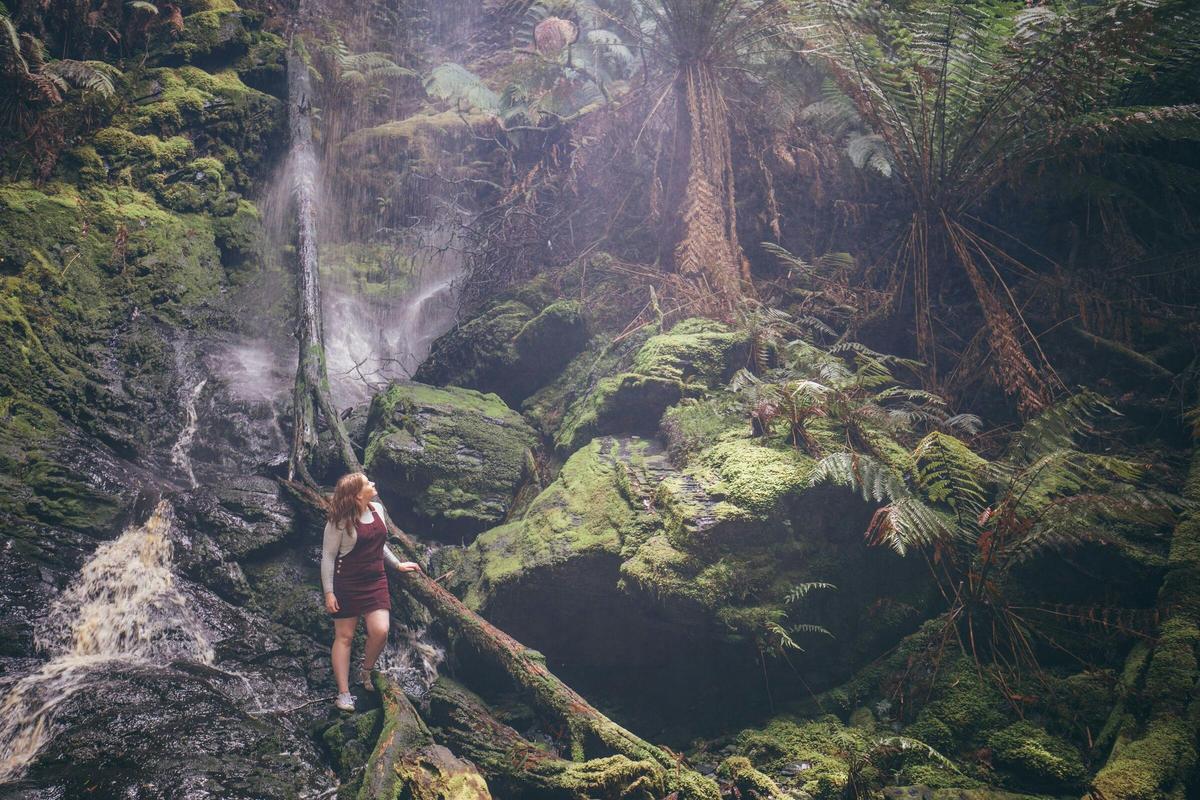 Walk Tasmania's Tarkine & Cradle Mountain
