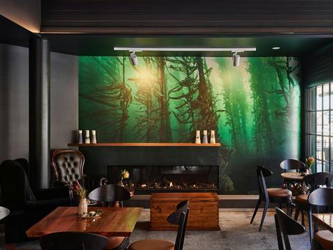 Kelp Bar