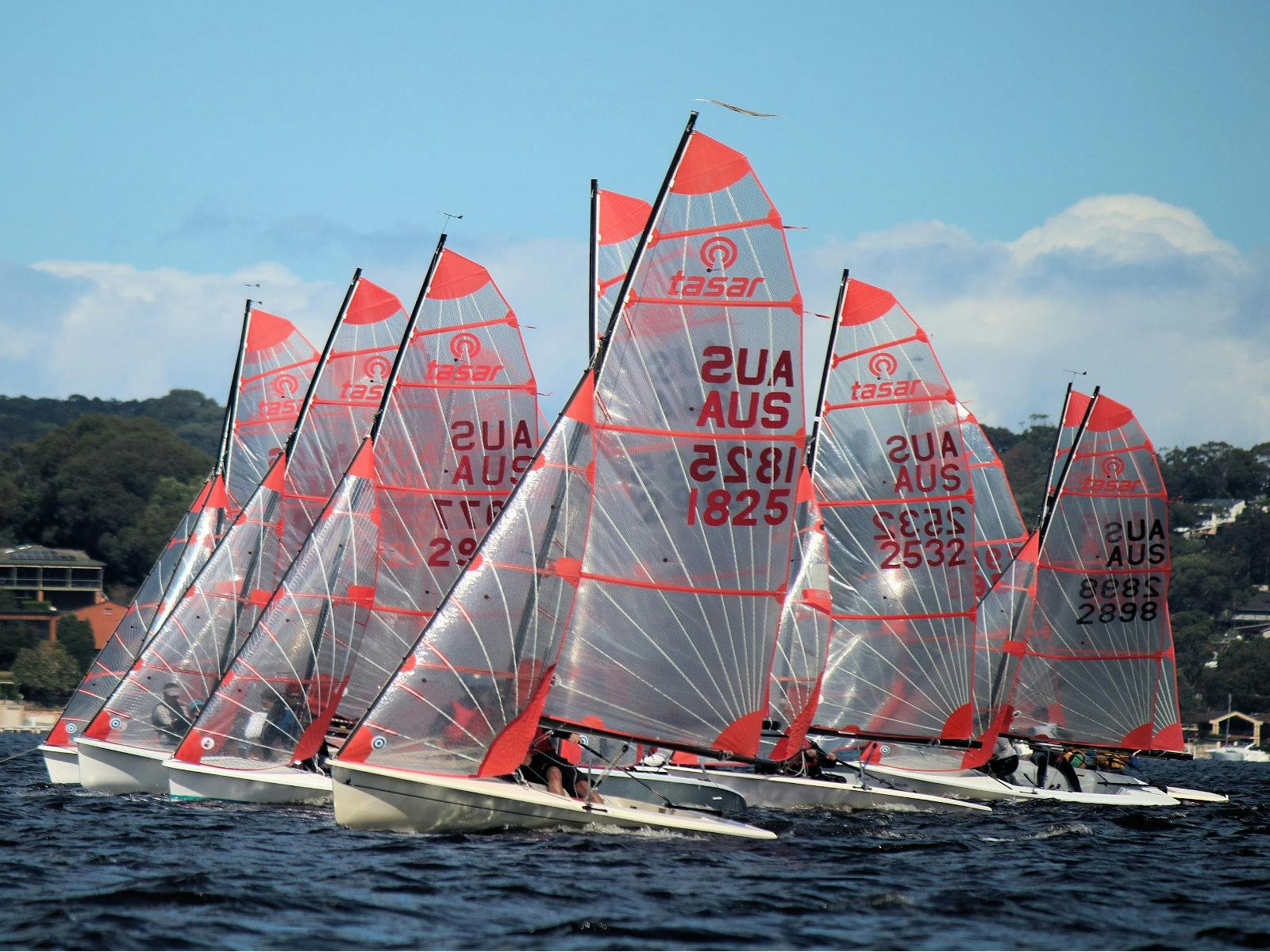SPASC Sailing