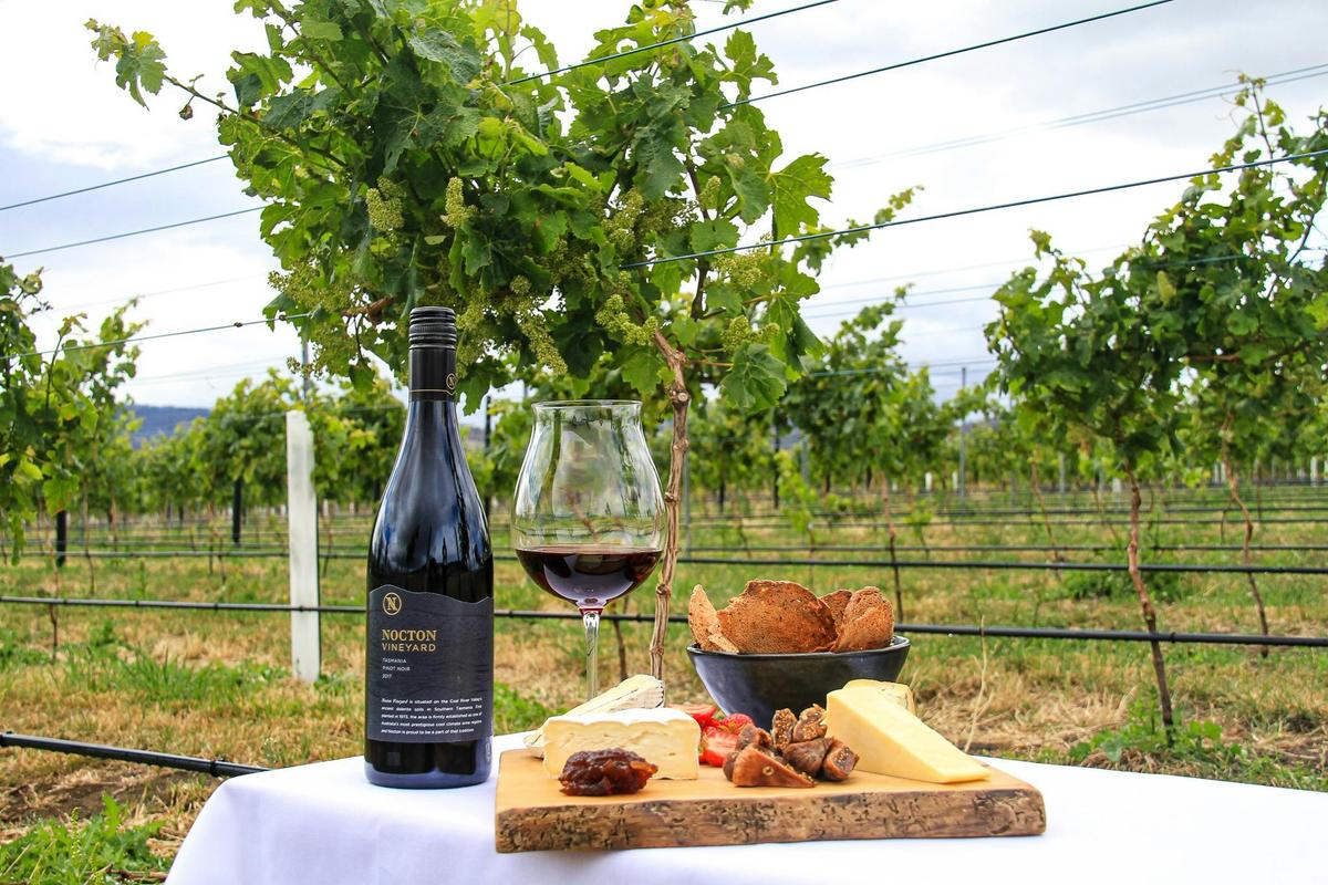 Coal River Valley Wine Region