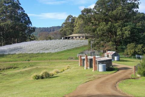 Huon Valley Wine Region