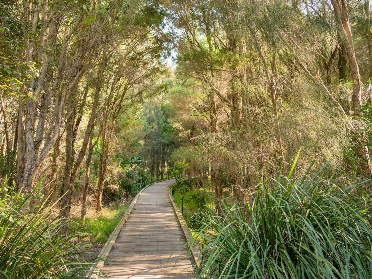 Spring Creek Wetlands