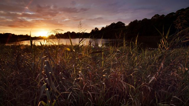 Spring Creek Wetlands Walk Kiama