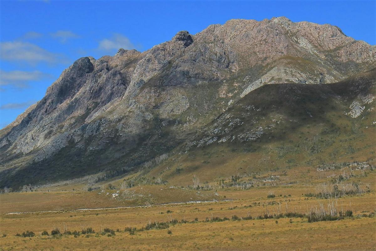 From Hobart: Gordon Dam and Lake Pedder Wilderness Small Group Day Tour