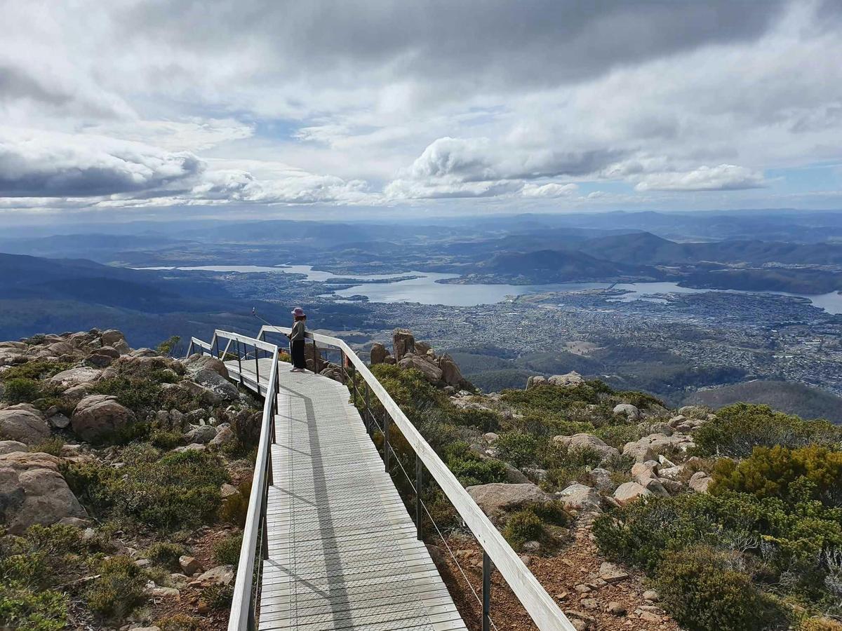 From Hobart: Mt Wellington Pinnacle 2 Hour Small Group Tour