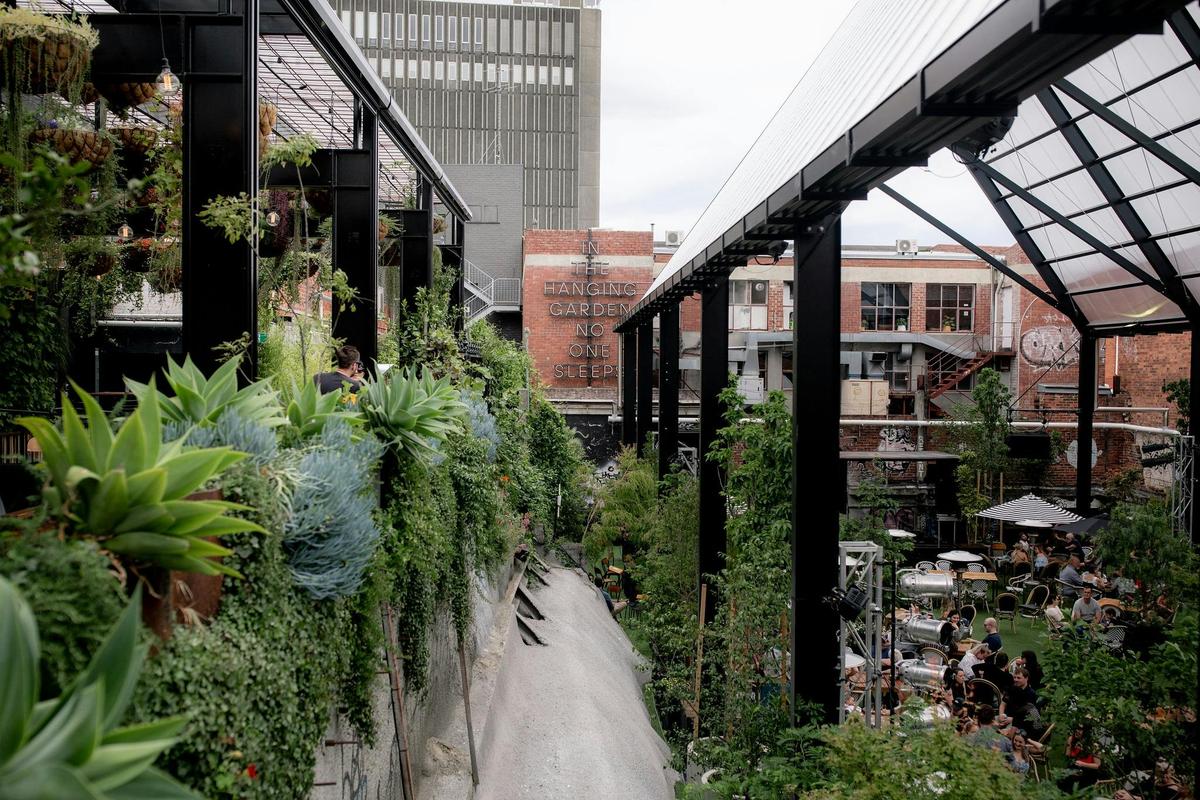 Greenery spills over a concrete wall into the Cathedral space below