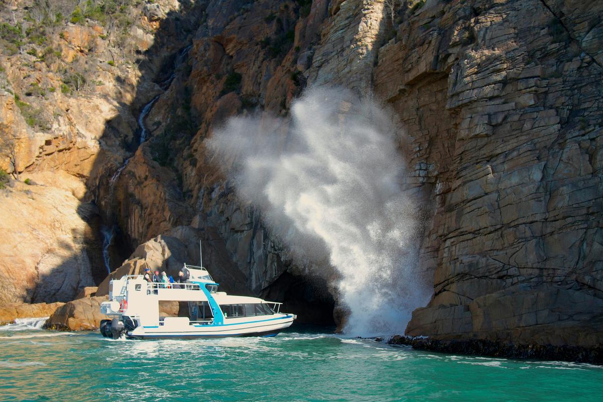 Maria Island Cruise + Walk Day Tour with Shuttle Bus
