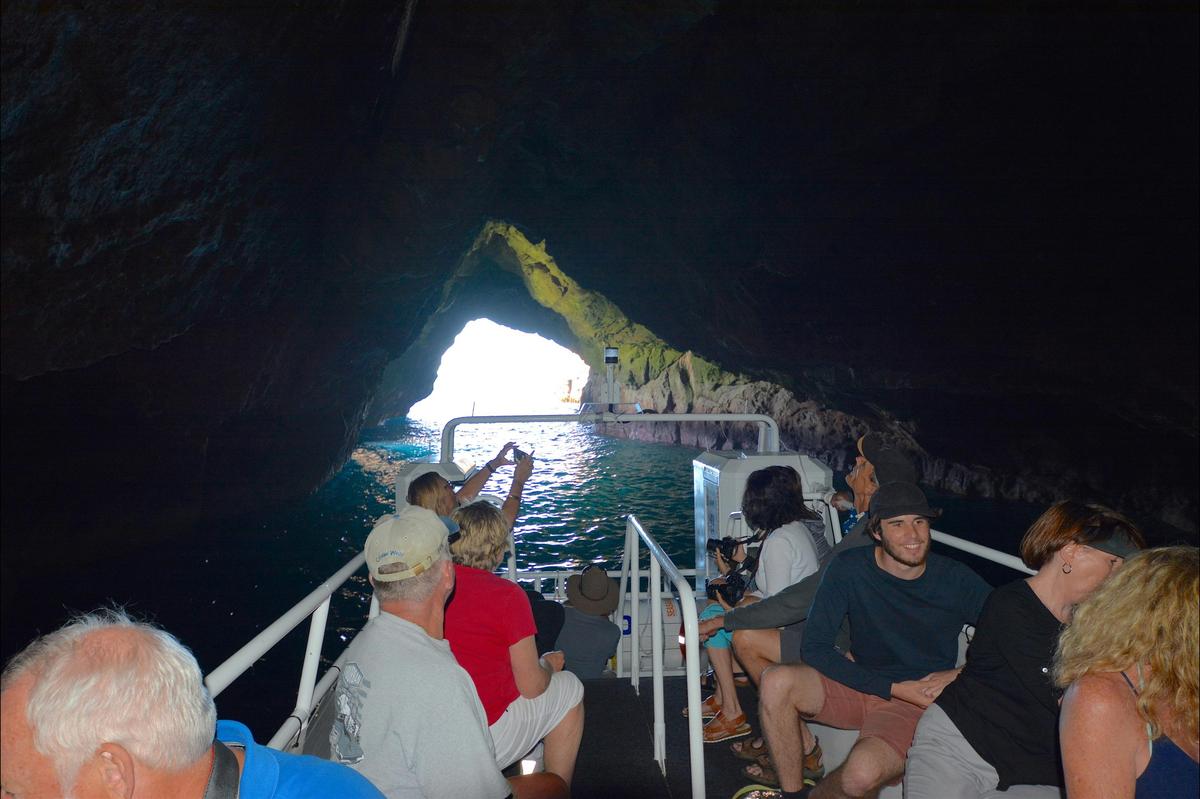 Maria Island Cruise + Walk Day Tour