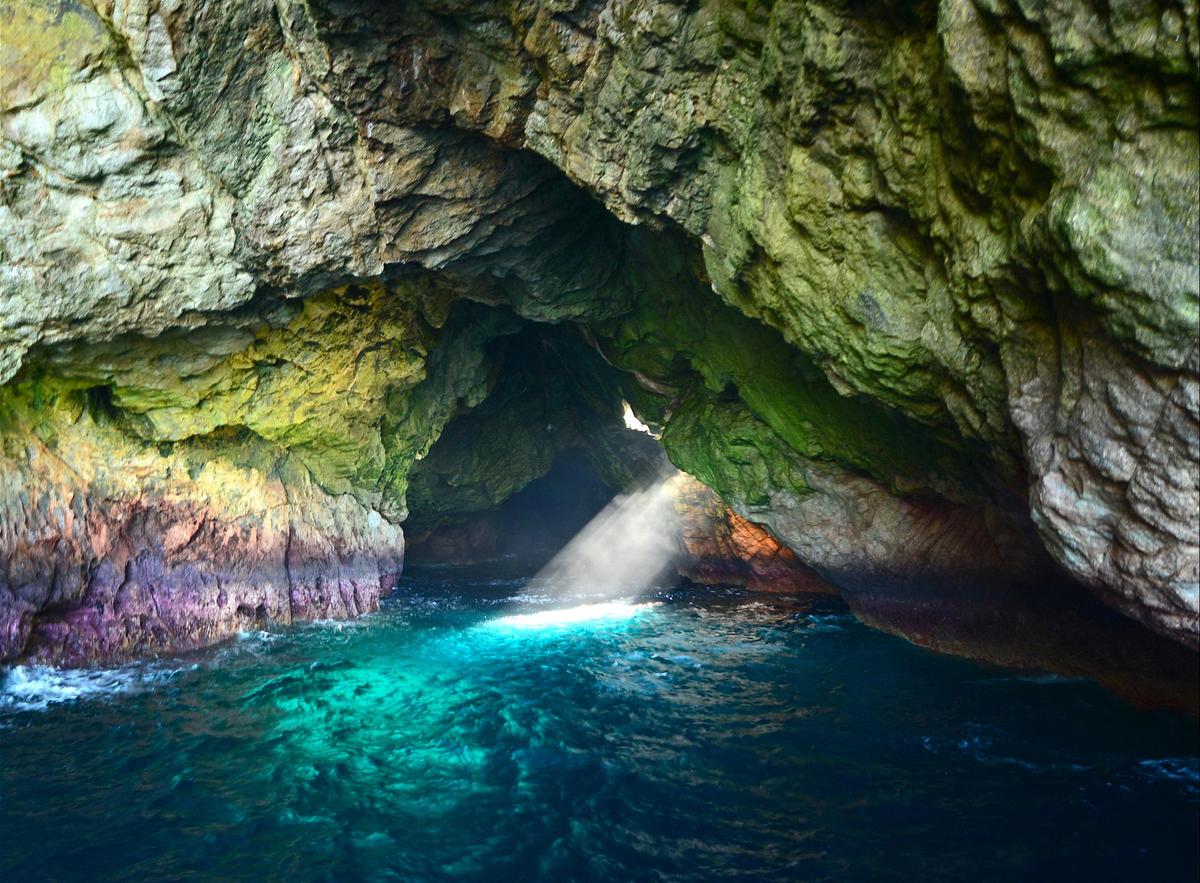 The Lair Of Baudin - Ile Des Phoques