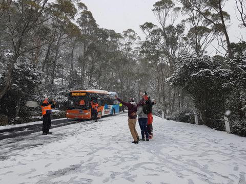 City to Snow (2½ hr Return Tour)