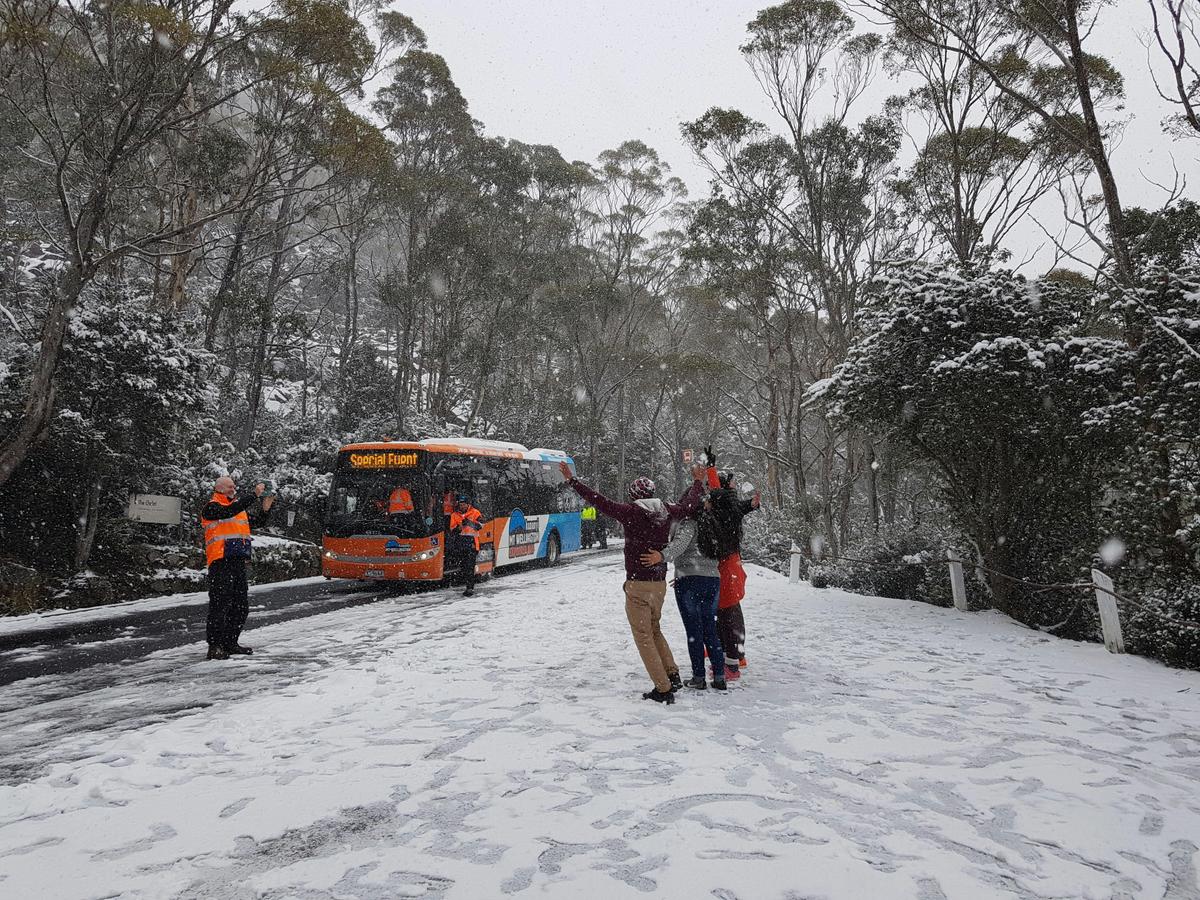 City to Snow (2½ hr Return Tour)