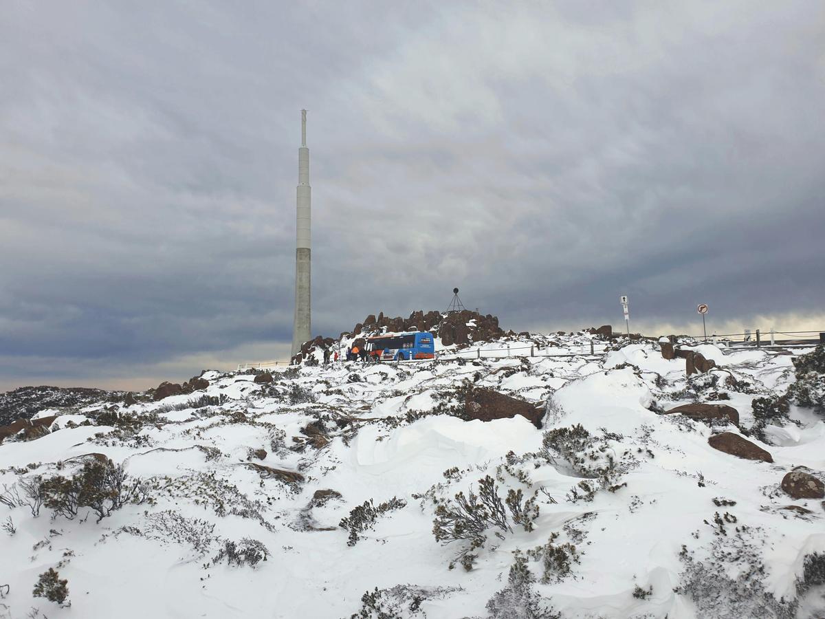 City to Snow (2½ hr Return Tour)