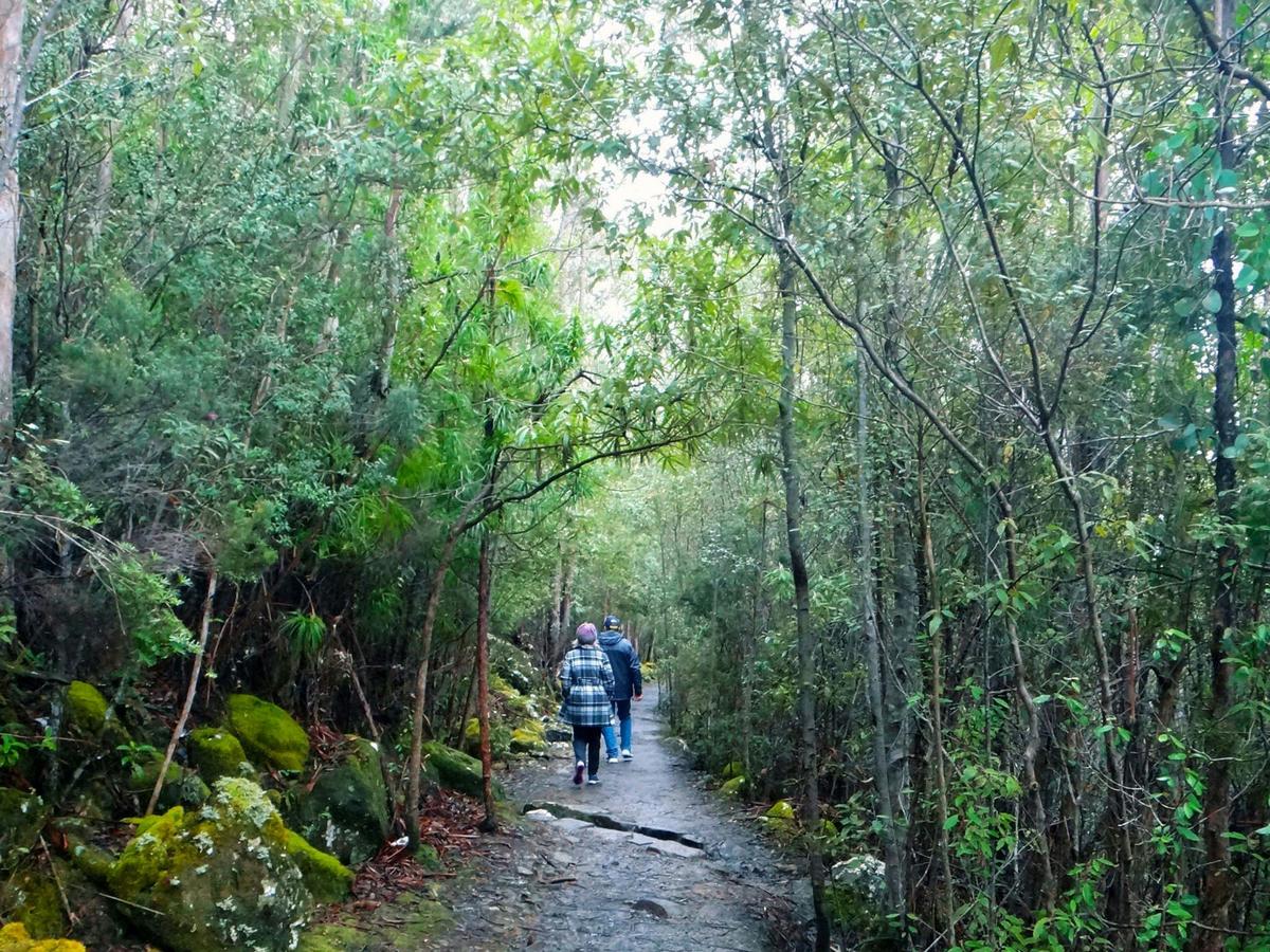 Bushwalking tracks on kunanyi/Mt Wellington for all ages and abilities.