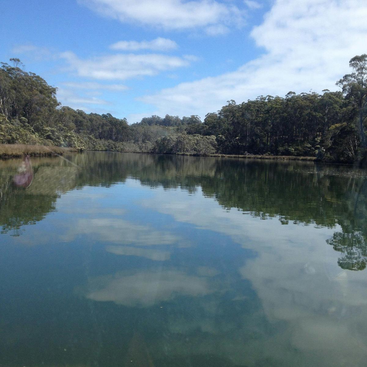 Leven River Cruise