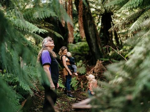 Leven River Cruises