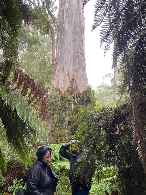 Leven River Picnic Cruise