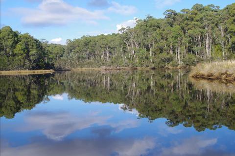 Leven River Bay Cruise